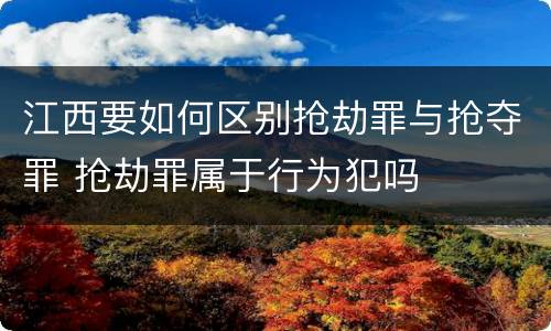 江西要如何区别抢劫罪与抢夺罪 抢劫罪属于行为犯吗