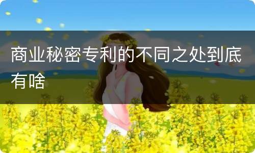 商业秘密专利的不同之处到底有啥