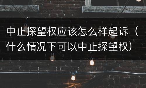 中止探望权应该怎么样起诉（什么情况下可以中止探望权）