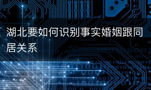 湖北要如何识别事实婚姻跟同居关系