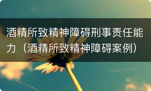 酒精所致精神障碍刑事责任能力（酒精所致精神障碍案例）