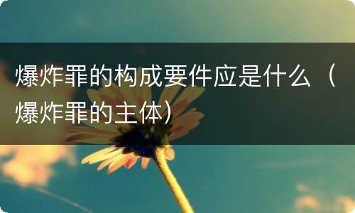 爆炸罪的构成要件应是什么（爆炸罪的主体）