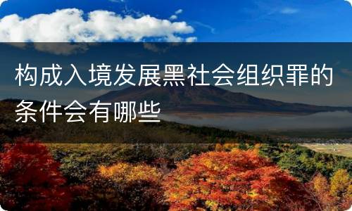 构成入境发展黑社会组织罪的条件会有哪些