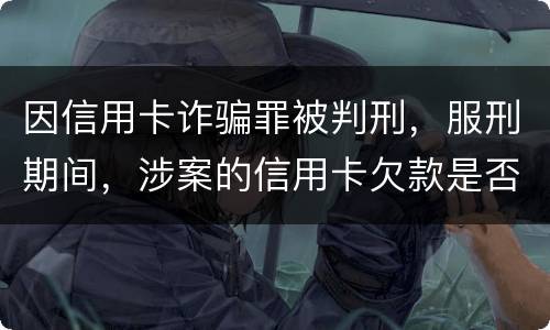 因信用卡诈骗罪被判刑，服刑期间，涉案的信用卡欠款是否持续计息