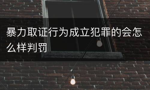 暴力取证行为成立犯罪的会怎么样判罚