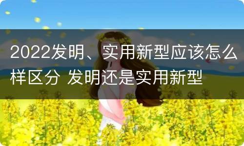 2022发明、实用新型应该怎么样区分 发明还是实用新型