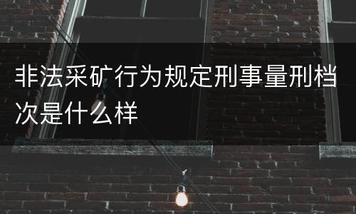非法采矿行为规定刑事量刑档次是什么样