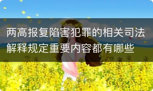 两高报复陷害犯罪的相关司法解释规定重要内容都有哪些