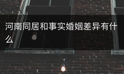 河南同居和事实婚姻差异有什么
