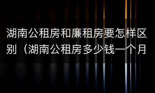 湖南公租房和廉租房要怎样区别（湖南公租房多少钱一个月）