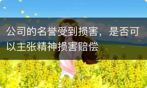 公司的名誉受到损害，是否可以主张精神损害赔偿