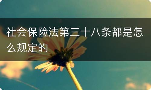 社会保险法第三十八条都是怎么规定的