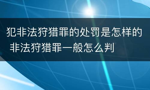 犯非法狩猎罪的处罚是怎样的 非法狩猎罪一般怎么判