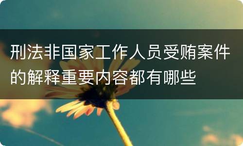 刑法非国家工作人员受贿案件的解释重要内容都有哪些