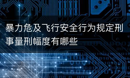 暴力危及飞行安全行为规定刑事量刑幅度有哪些