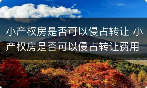 小产权房是否可以侵占转让 小产权房是否可以侵占转让费用