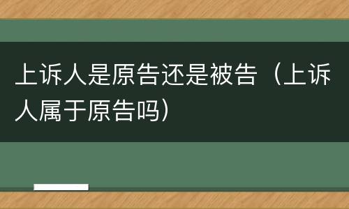 上诉人是原告还是被告（上诉人属于原告吗）