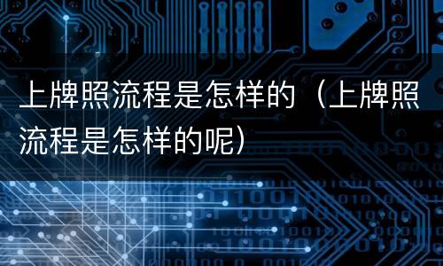 上牌照流程是怎样的（上牌照流程是怎样的呢）