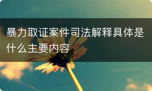 暴力取证案件司法解释具体是什么主要内容