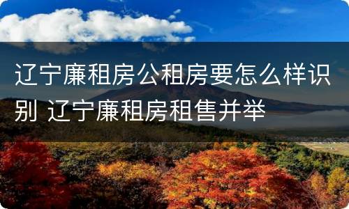辽宁廉租房公租房要怎么样识别 辽宁廉租房租售并举