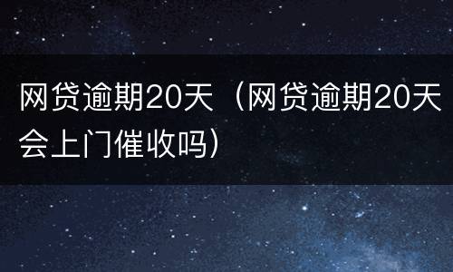 网贷逾期20天（网贷逾期20天会上门催收吗）
