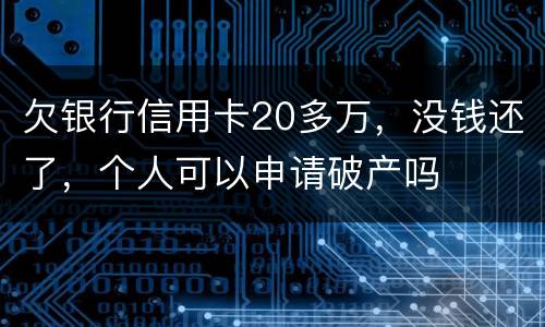 欠银行信用卡20多万，没钱还了，个人可以申请破产吗
