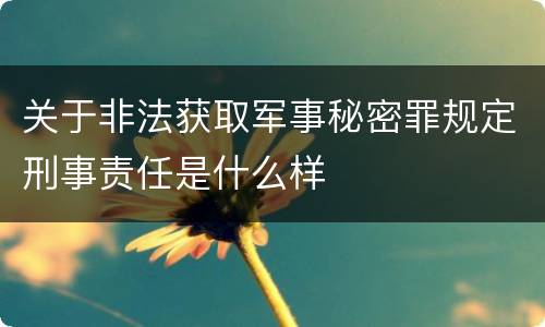 关于非法获取军事秘密罪规定刑事责任是什么样