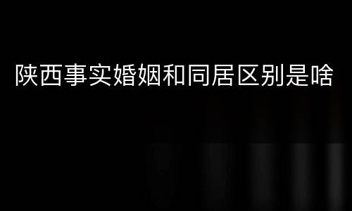 陕西事实婚姻和同居区别是啥