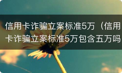 信用卡诈骗立案标准5万（信用卡诈骗立案标准5万包含五万吗）