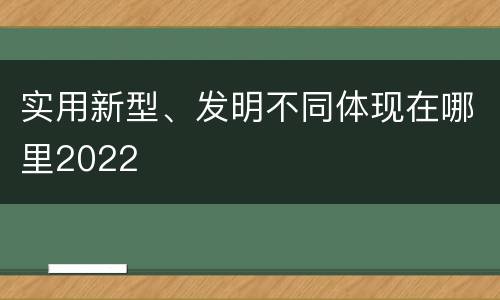 实用新型、发明不同体现在哪里2022