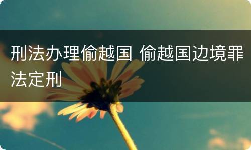 刑法办理偷越国 偷越国边境罪法定刑