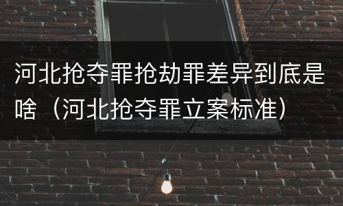 河北抢夺罪抢劫罪差异到底是啥（河北抢夺罪立案标准）