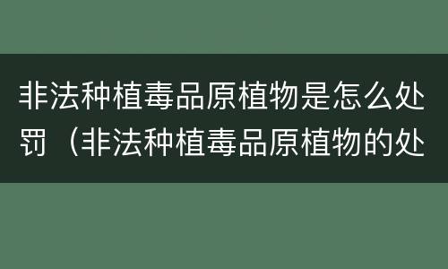 非法种植毒品原植物是怎么处罚（非法种植毒品原植物的处罚）