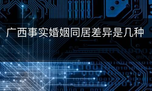 广西事实婚姻同居差异是几种