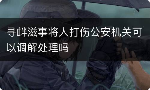 寻衅滋事将人打伤公安机关可以调解处理吗