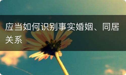 应当如何识别事实婚姻、同居关系