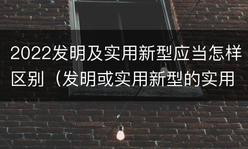2022发明及实用新型应当怎样区别（发明或实用新型的实用性包括( ）
