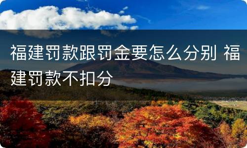 福建罚款跟罚金要怎么分别 福建罚款不扣分