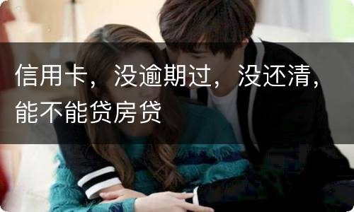 信用卡，没逾期过，没还清，能不能贷房贷