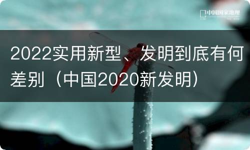 2022实用新型、发明到底有何差别（中国2020新发明）