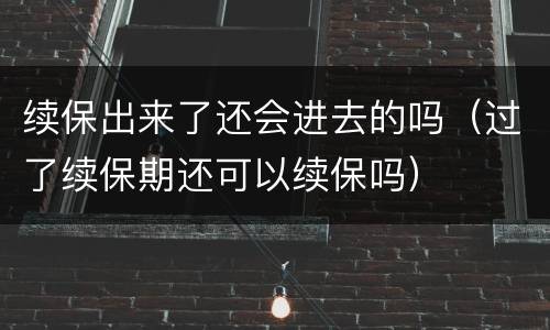 续保出来了还会进去的吗（过了续保期还可以续保吗）