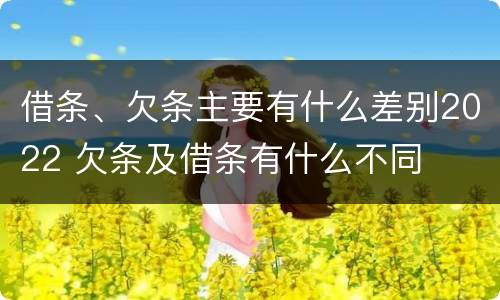 借条、欠条主要有什么差别2022 欠条及借条有什么不同