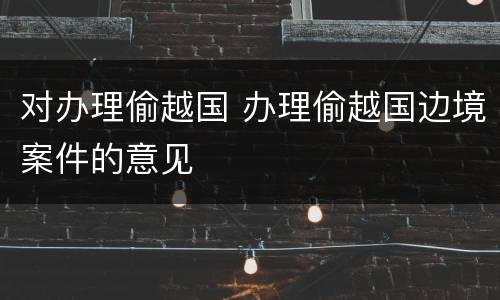 对办理偷越国 办理偷越国边境案件的意见