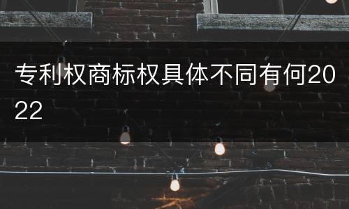 专利权商标权具体不同有何2022