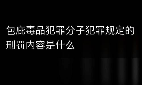 包庇毒品犯罪分子犯罪规定的刑罚内容是什么