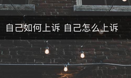 自己如何上诉 自己怎么上诉