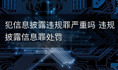 犯信息披露违规罪严重吗 违规披露信息罪处罚