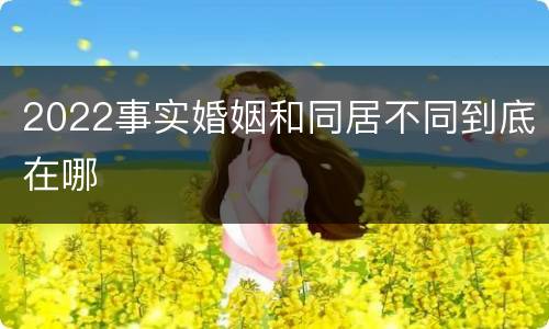 2022事实婚姻和同居不同到底在哪