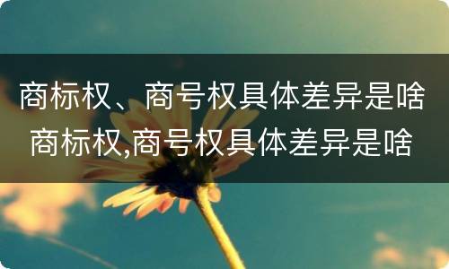 商标权、商号权具体差异是啥 商标权,商号权具体差异是啥意思