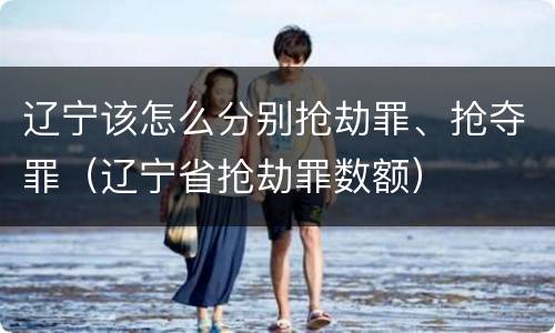 辽宁该怎么分别抢劫罪、抢夺罪（辽宁省抢劫罪数额）